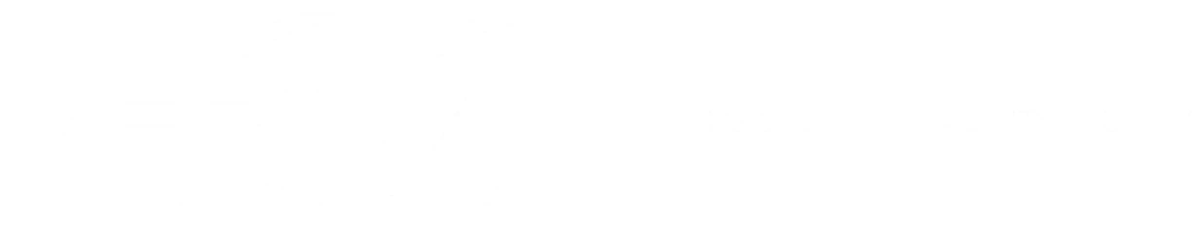 meridian polymers