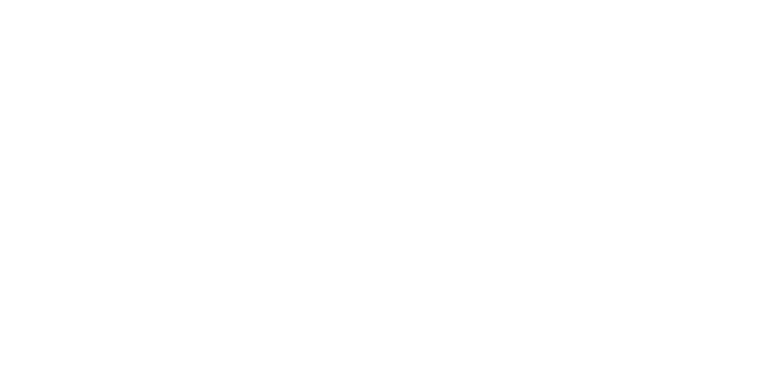 meridian polymers